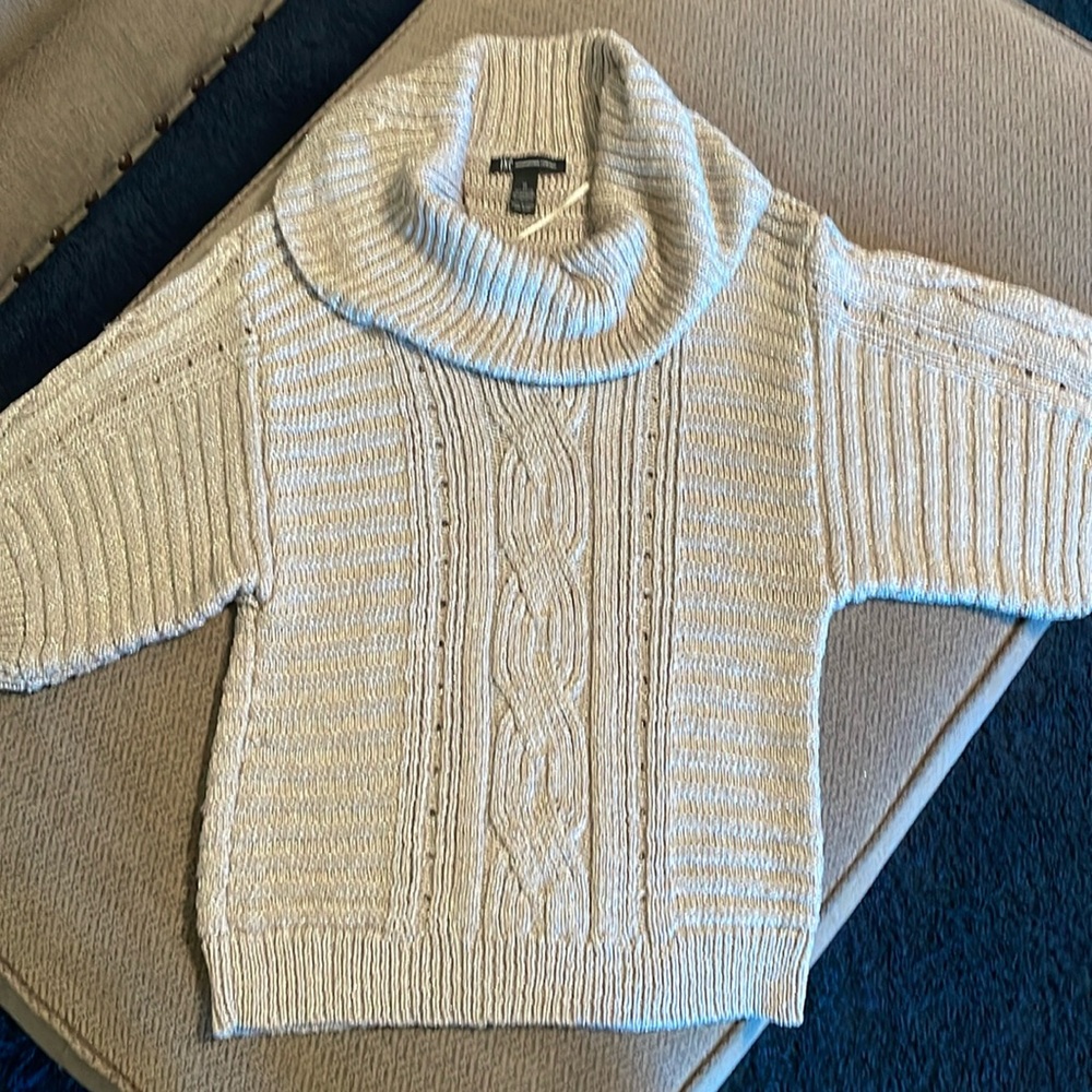 NWT INC International Concepts sweater